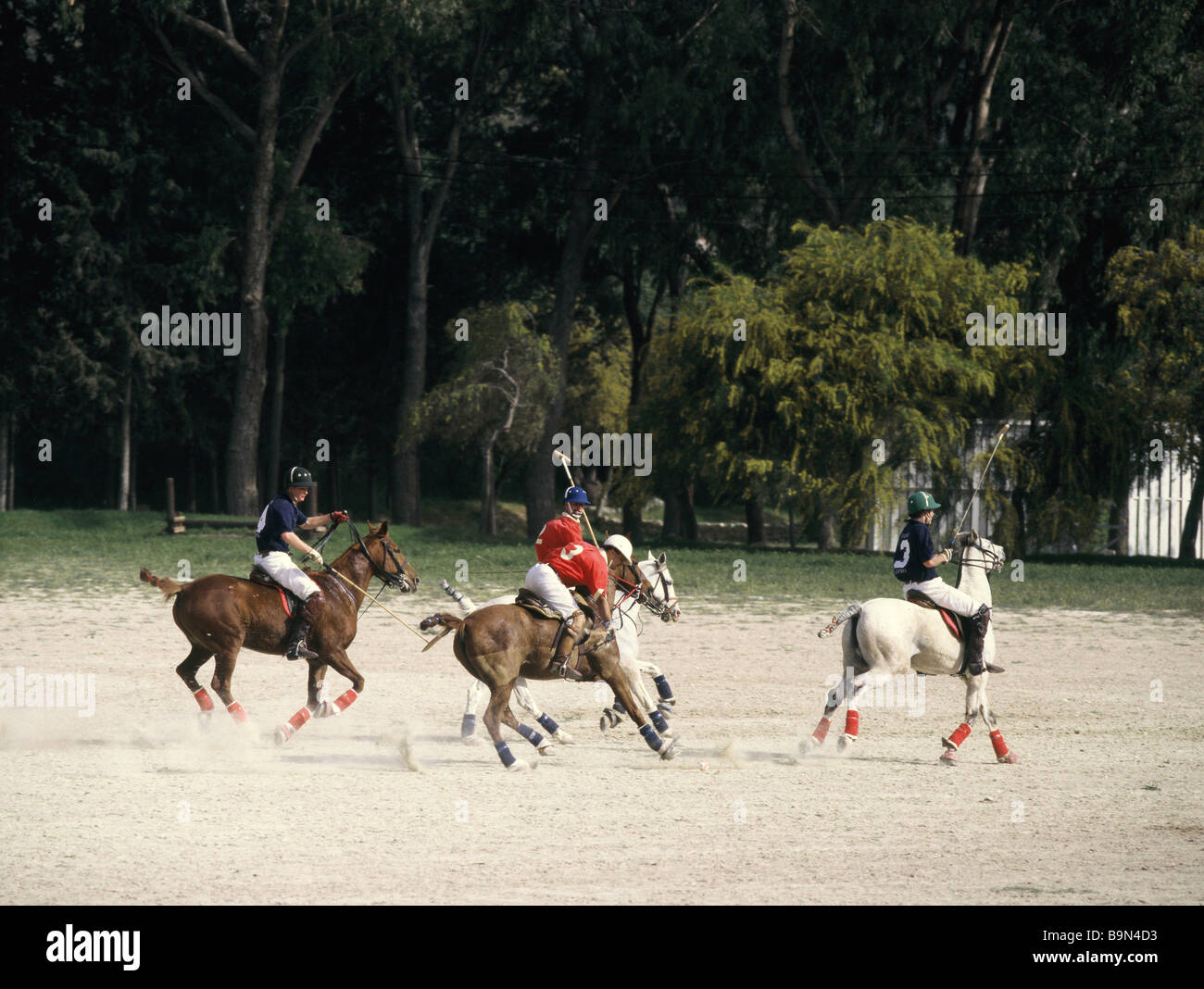 Partita di polo in Cipro Foto Stock