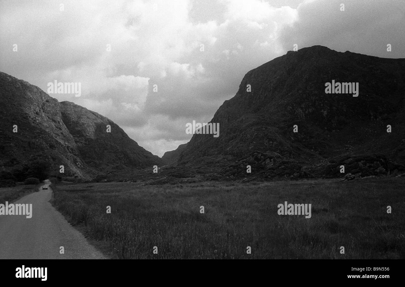 Sulla strada, Killarney National Park Foto Stock