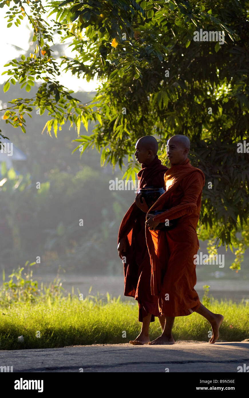 Myanmar (Birmania), Divisione Mandalay, Mandalay monaci dell'Shwe di Binh monastero la raccolta di alimenti Foto Stock