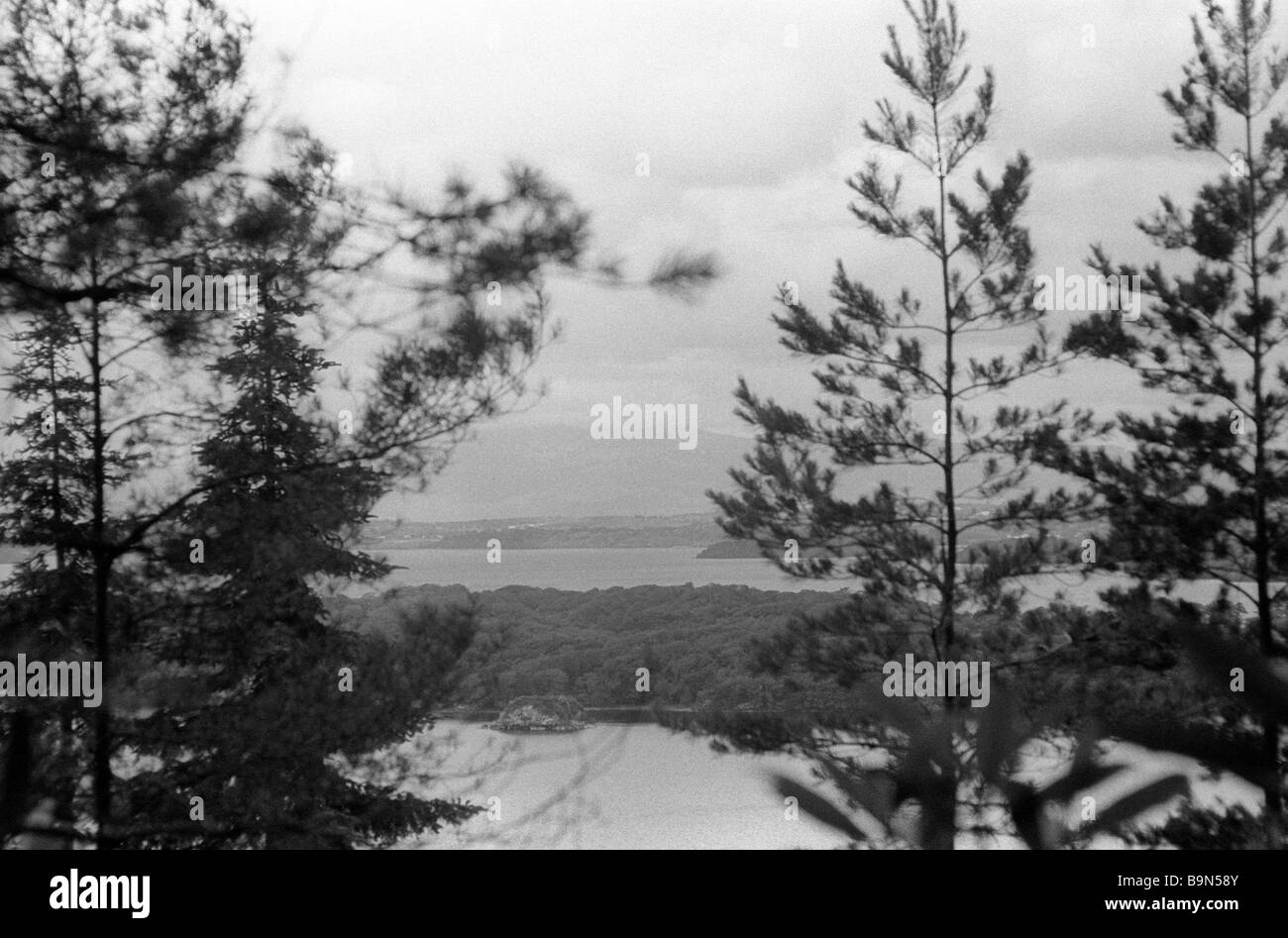 Guardando attraverso le diramazioni sul lago, Killarney National Park Foto Stock