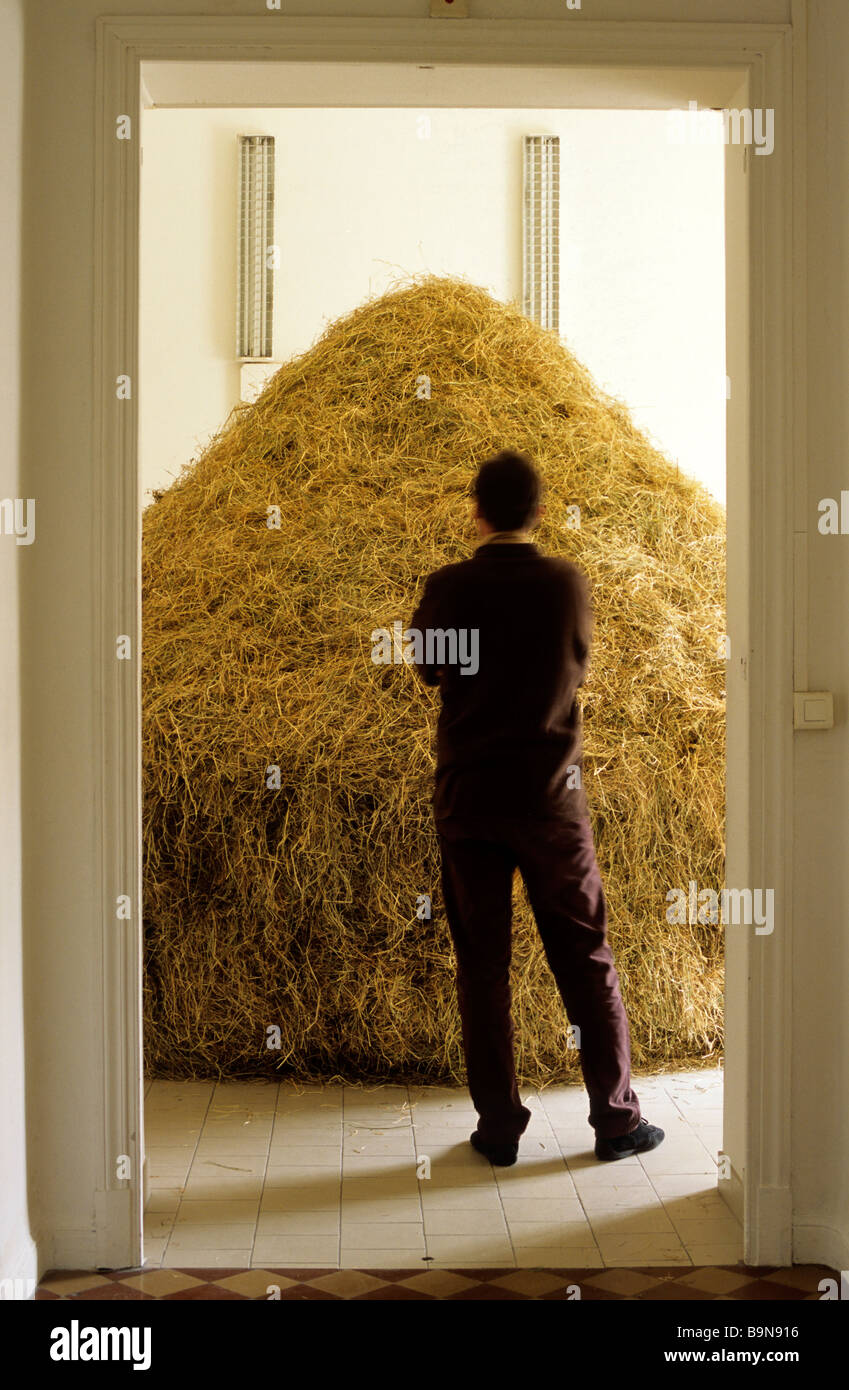 Francia, Alpes Maritimes, Nizza, la stazione, il centro artistico, opera d'arte dell'artista americano Dustin Larson Foto Stock