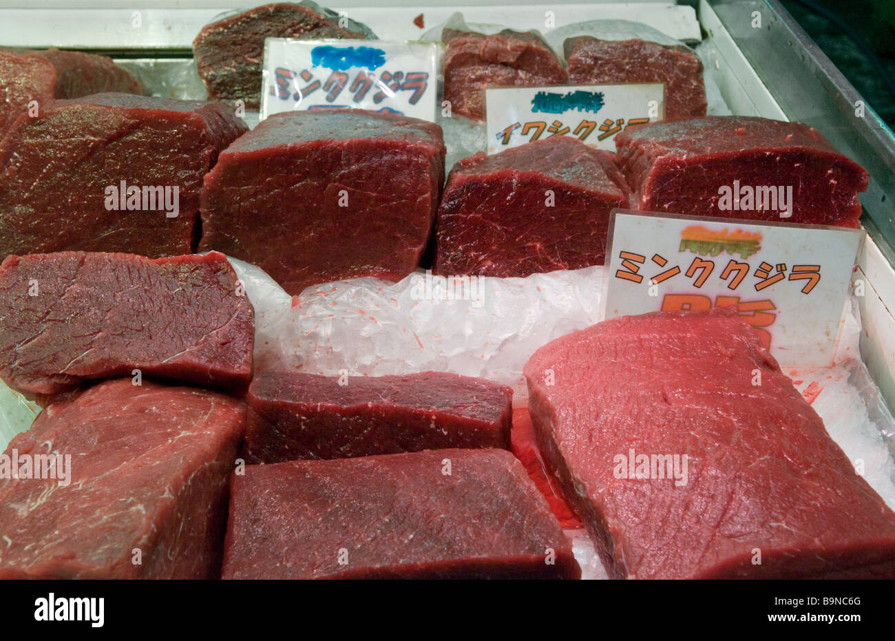 Minki carne di balena in vendita presso il mercato del pesce di Tsukiji a Tokyo in Giappone. 2008 Foto Stock