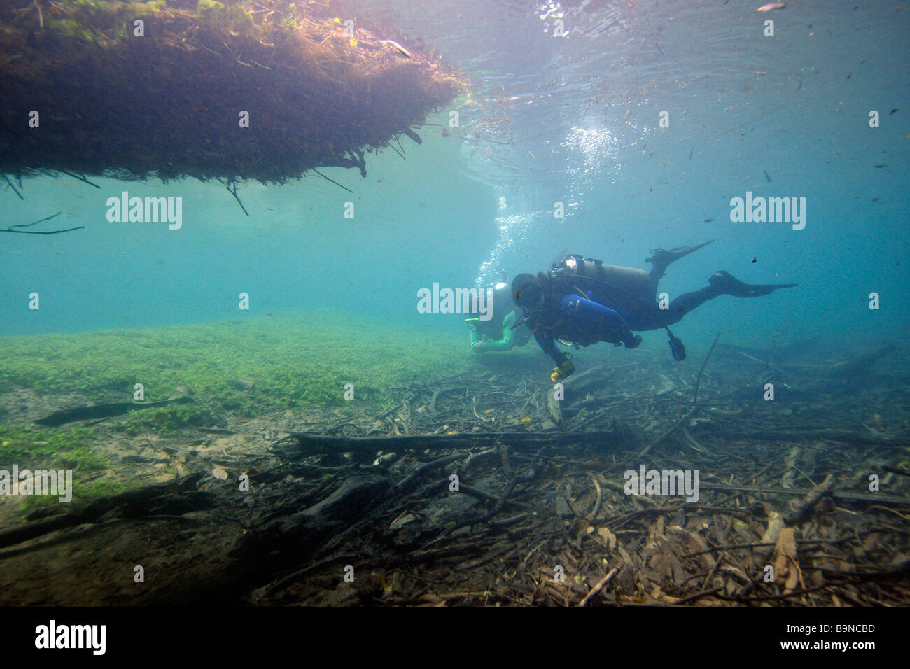 Scuba Diver underwater Prata fiume Bonito Mato Grosso do Sul in Brasile Foto Stock