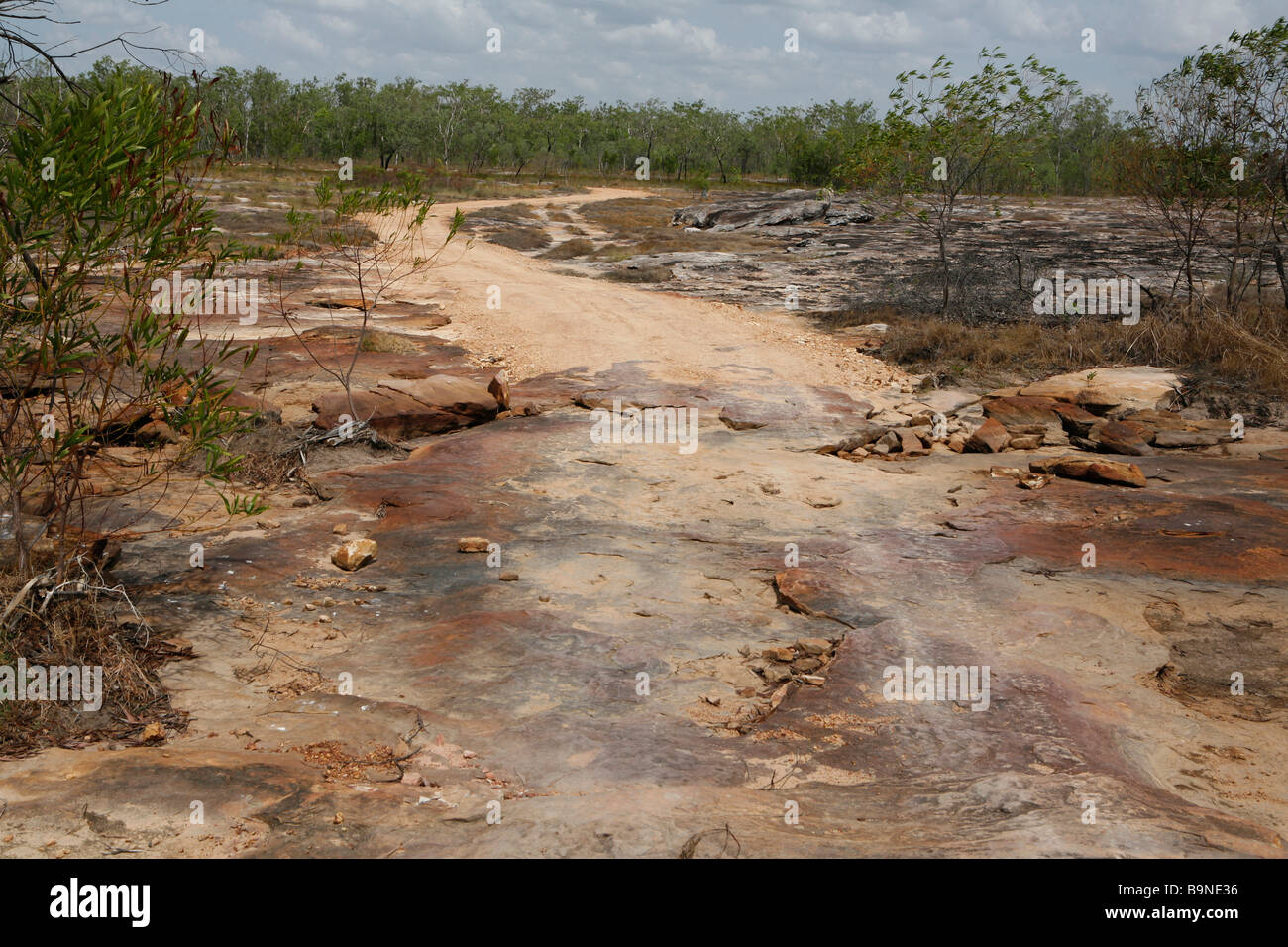 Riserva naturale vicino a Mount Borradaile, montagna sacra di Aboriginals in Arnhemland, Australia. Foto Stock