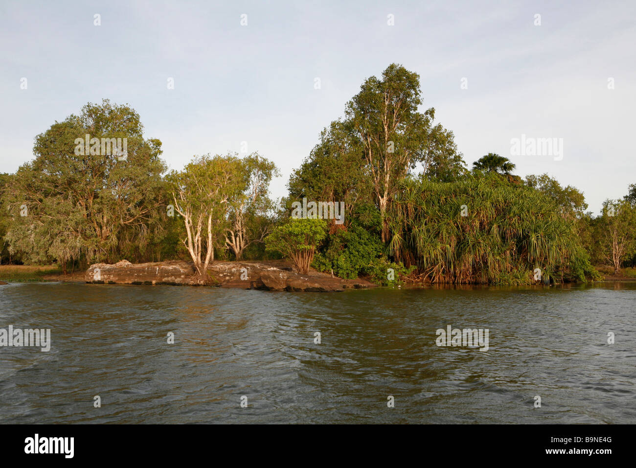 Riserva naturale vicino a Mount Borradaile, montagna sacra di aborigeni, Arnhemland, Australia Foto Stock