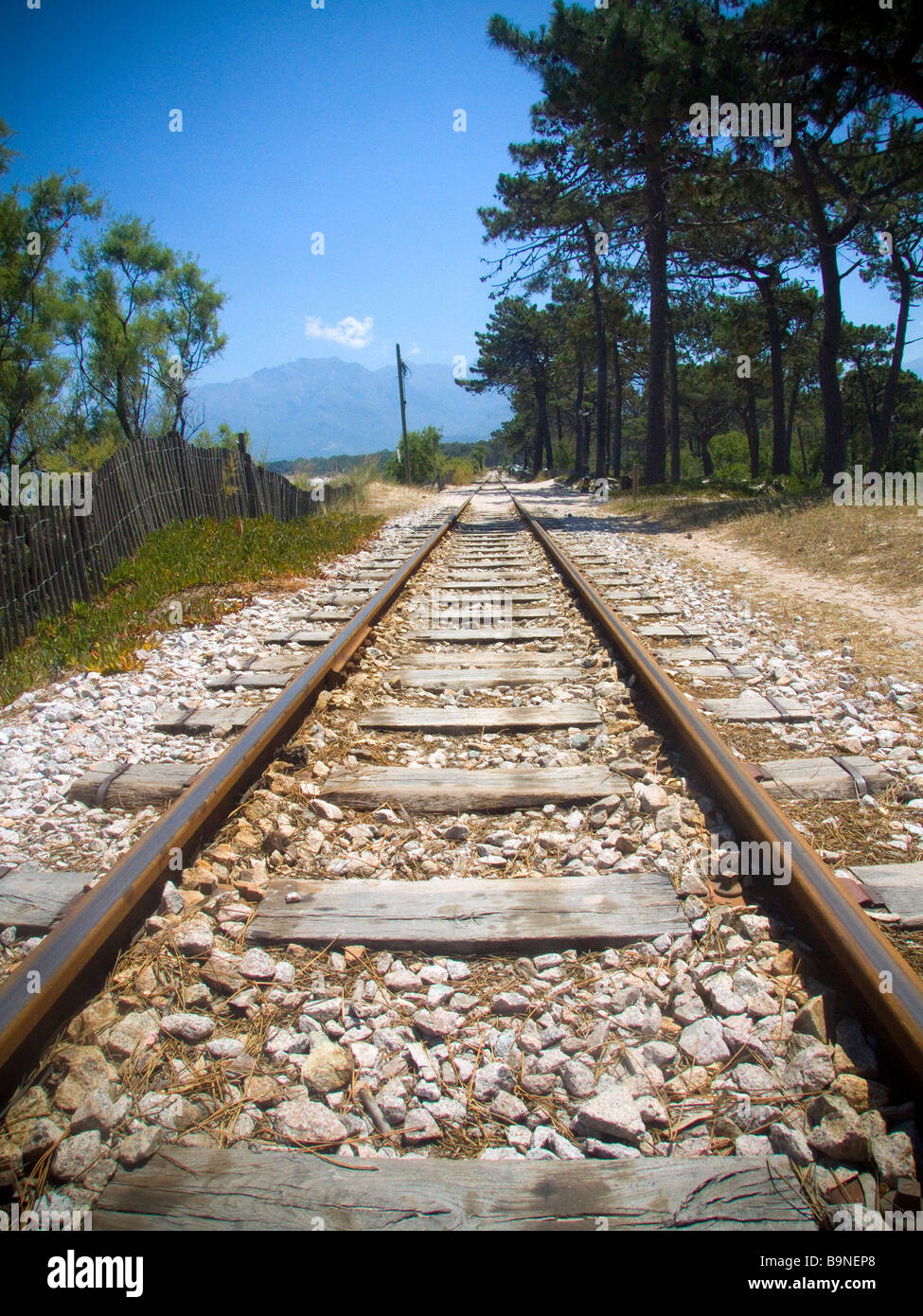 La parte anteriore di mare della linea ferroviaria alla spiaggia di Calvi Calvi, Corsica, Francia. Foto Stock