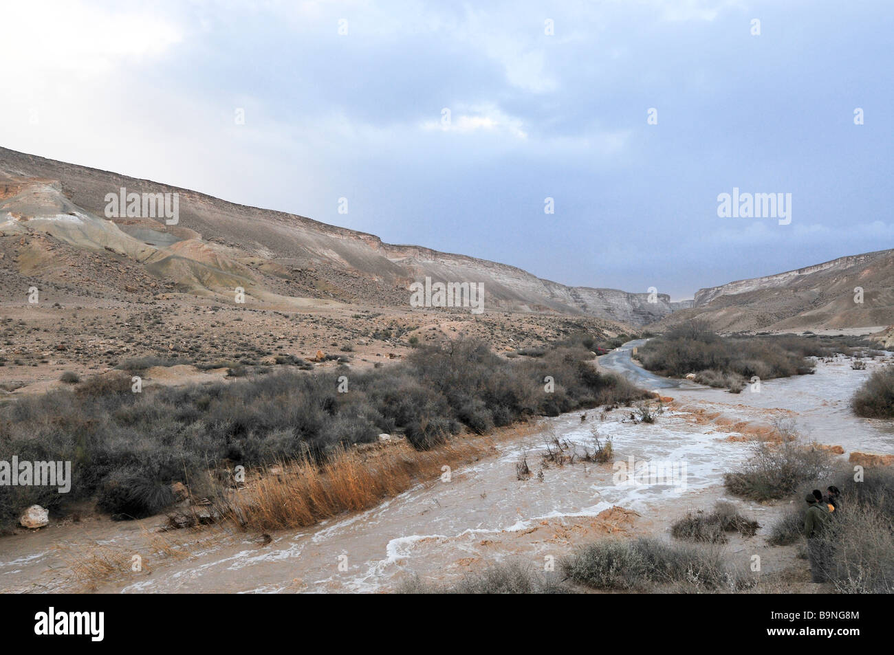 Israele Negev inondazione nel deserto Tzin river Foto Stock