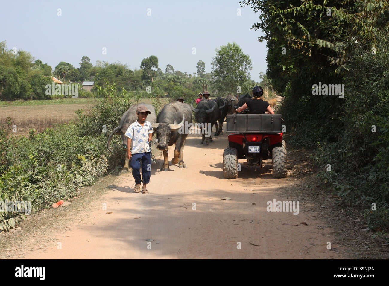 Quad Biking in Cambogia Foto Stock