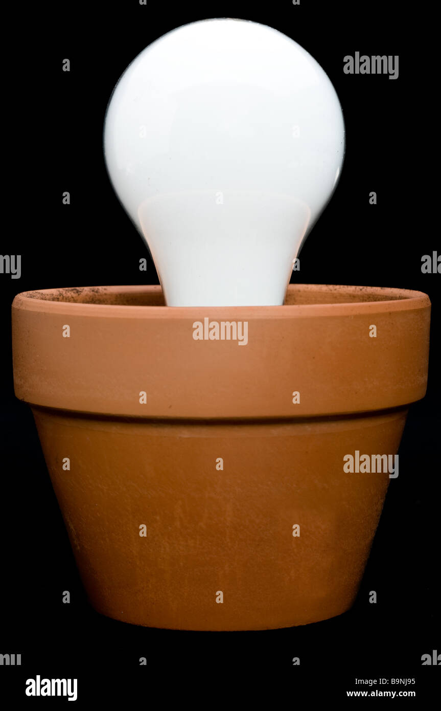 Un incandescente incandescant lampadina in una piantatrice Foto Stock