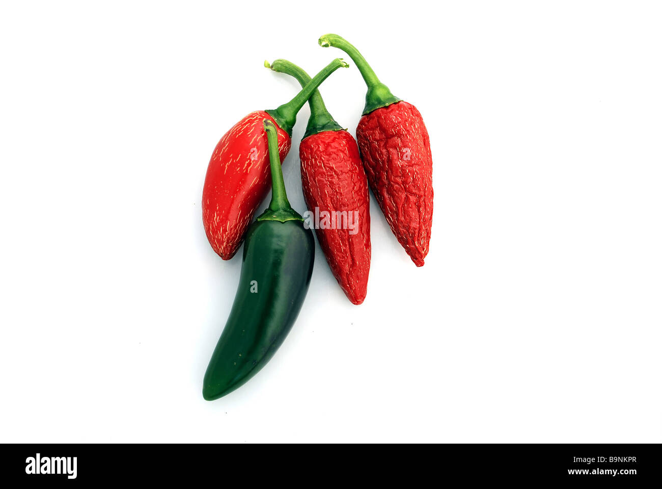 Rosso e verde peperoncino Jalapeño, Foto Stock