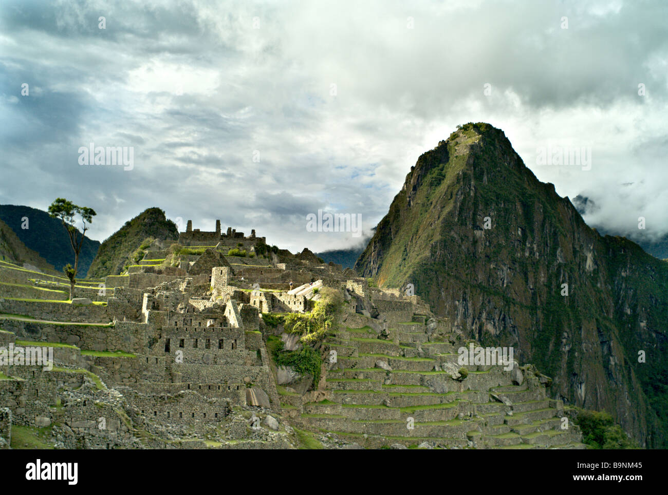 Il Perù MACHU PICCHU Machu Picchu e antiche terrazze Incas con Huayna Picchu in background Foto Stock