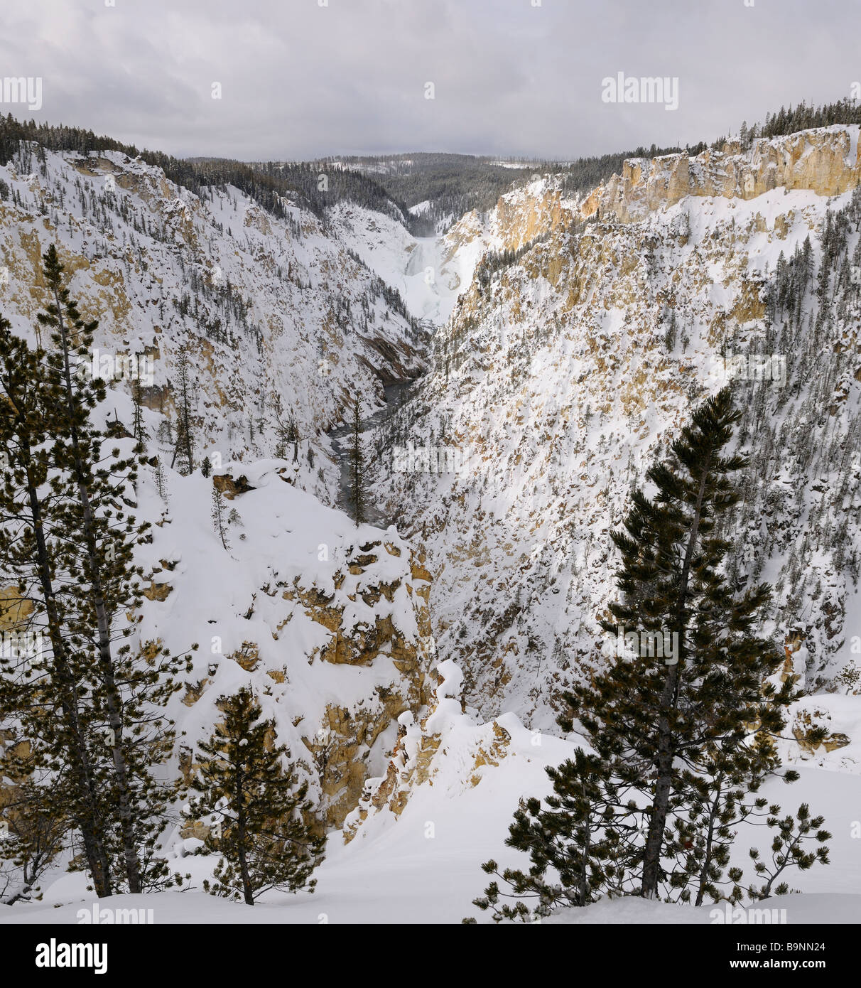 Coperta di neve il Grand Canyon di Yellowstone National Park in inverno con la congelati cascate inferiori wyoming Foto Stock