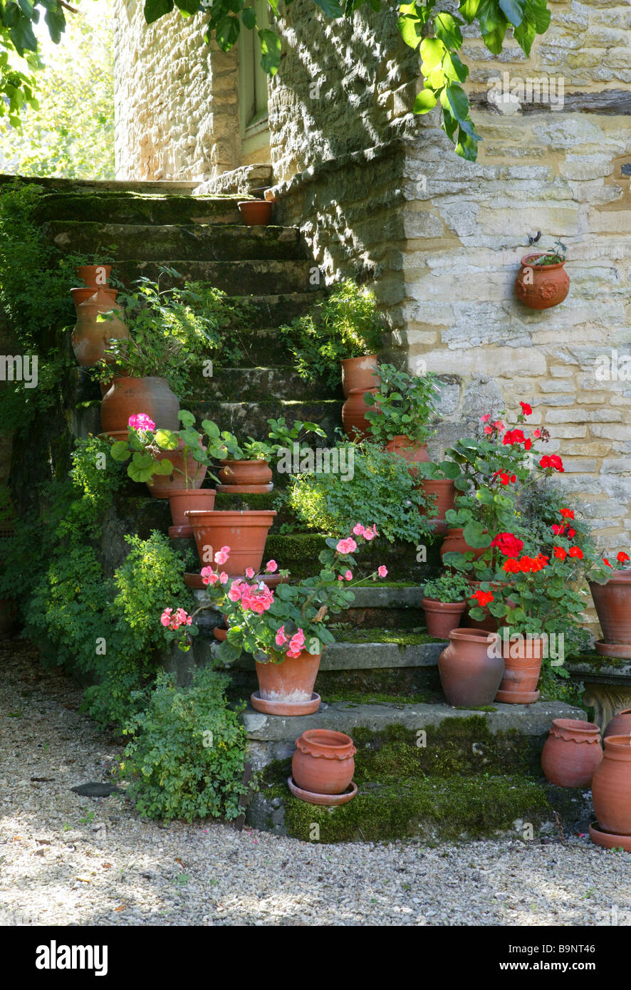 Inglese passi fino ad una casa di campagna con vasi di fiori come decorazione. Foto Stock