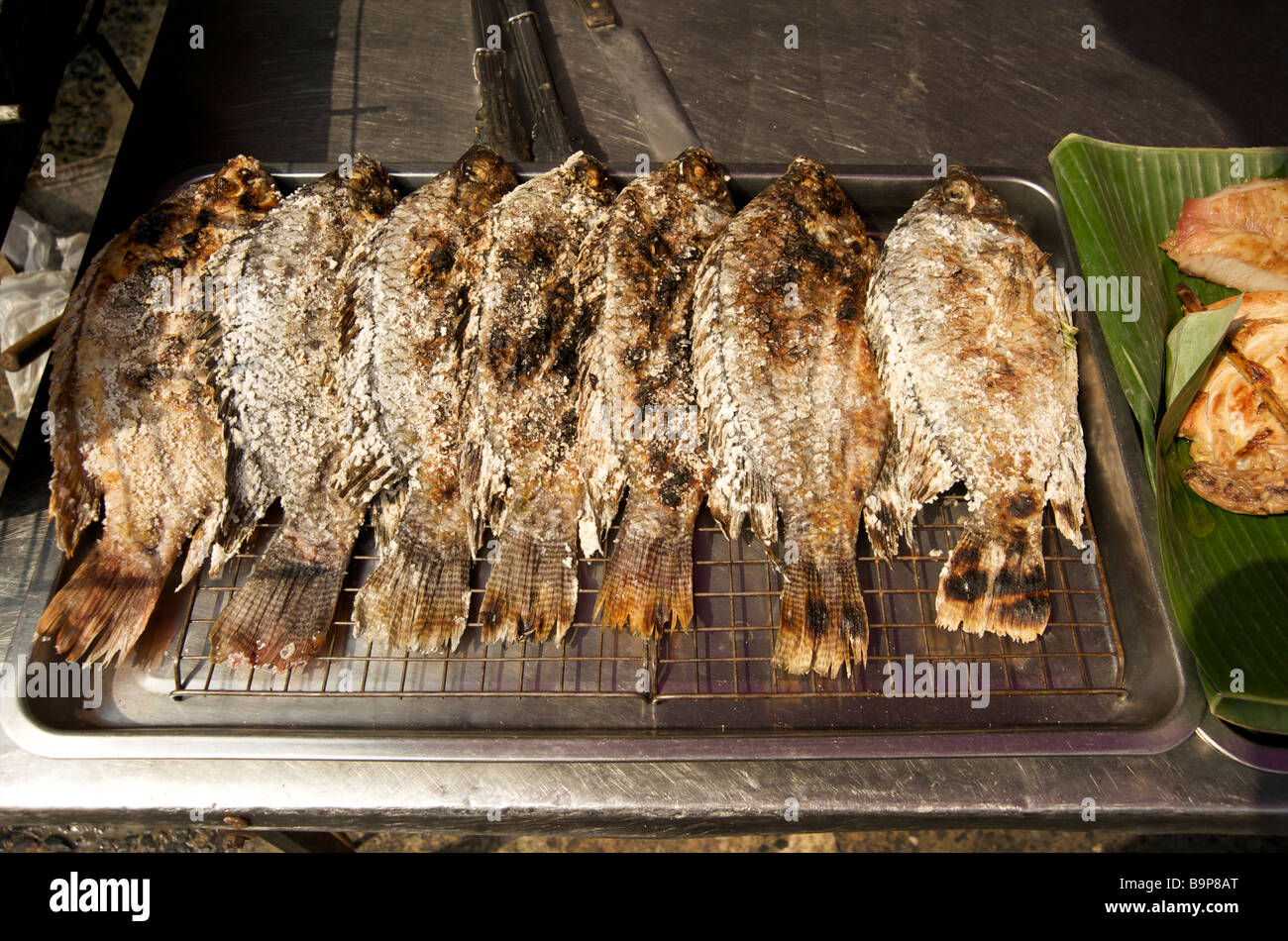 Una fila di grigliate di pesce su una bancarella di strada a Bangkok in Tailandia Foto Stock