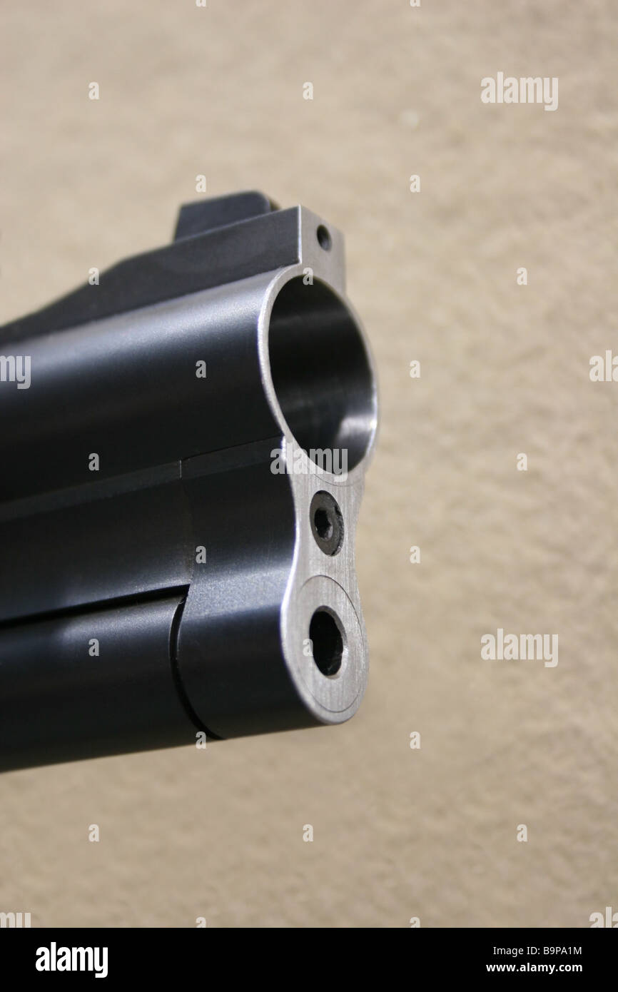 fucile da caccia del foro Foto Stock