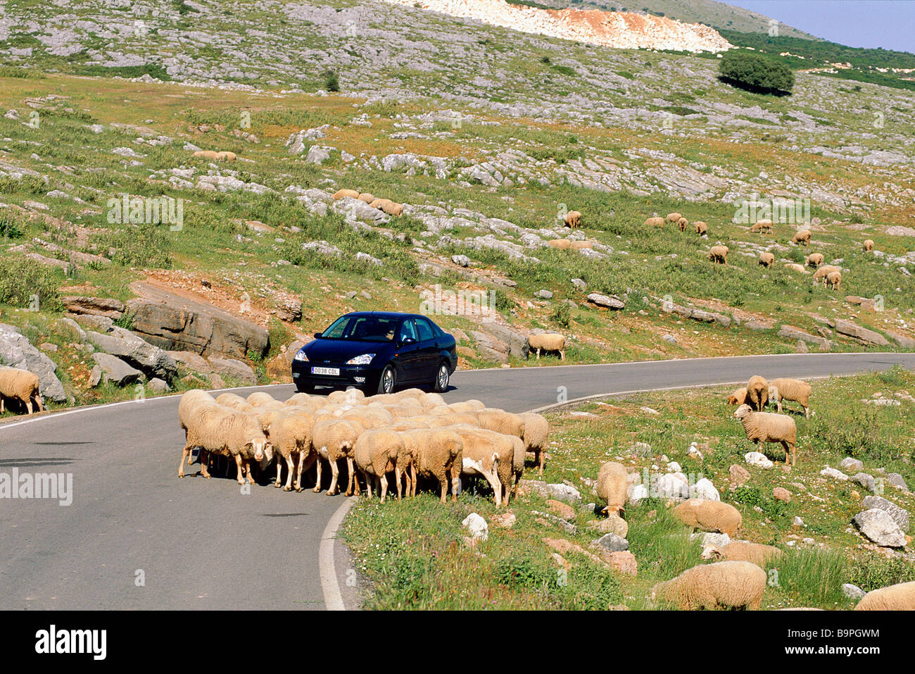 Spagna, Andalusia, vicino a Cordoba, Sierra de Cabra (parte della Sierras Subbeticas), la strada verso la Sierra de la Virgen Retreat Foto Stock