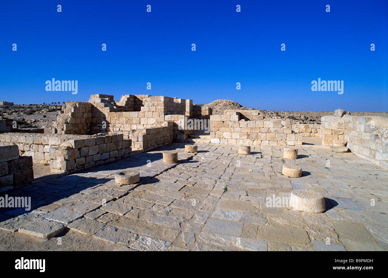 Israele, Sud distretto, deserto del Negev, incenso di rotta, Avdad sito classificato come patrimonio mondiale dall' UNESCO, Villa Romana Foto Stock