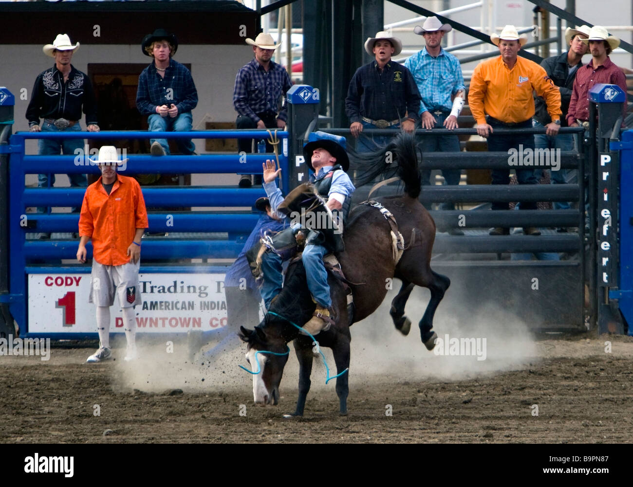 Cowboy rides strappi bronco Cody Nite Rodeo Wyoming USA Foto Stock