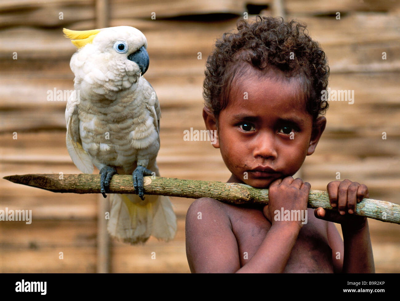 Papua Nuova Guinea, Isole Trobriand, bambino il ritratto con un cacatua Foto Stock