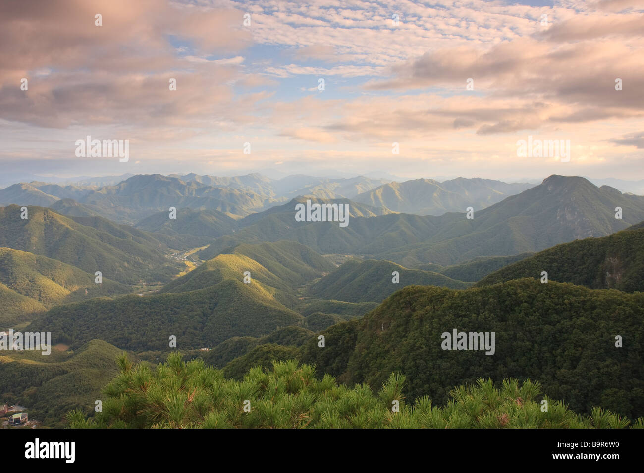 Verdi montagne Sobaek, Corea del Sud, al tramonto Foto Stock