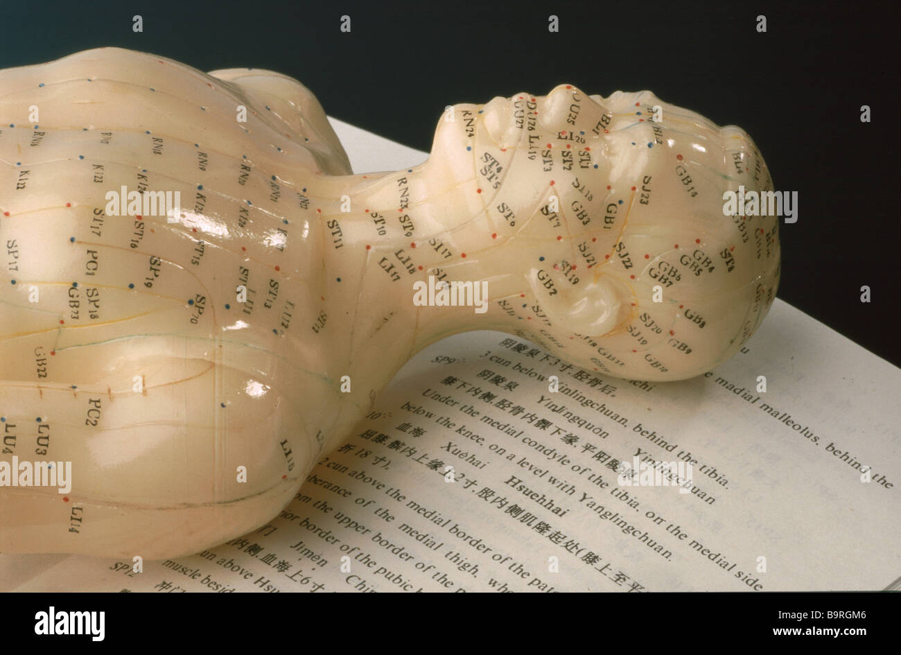 I punti di agopuntura del corpo umano qui mostrato su un modello di corsi di formazione Foto Stock