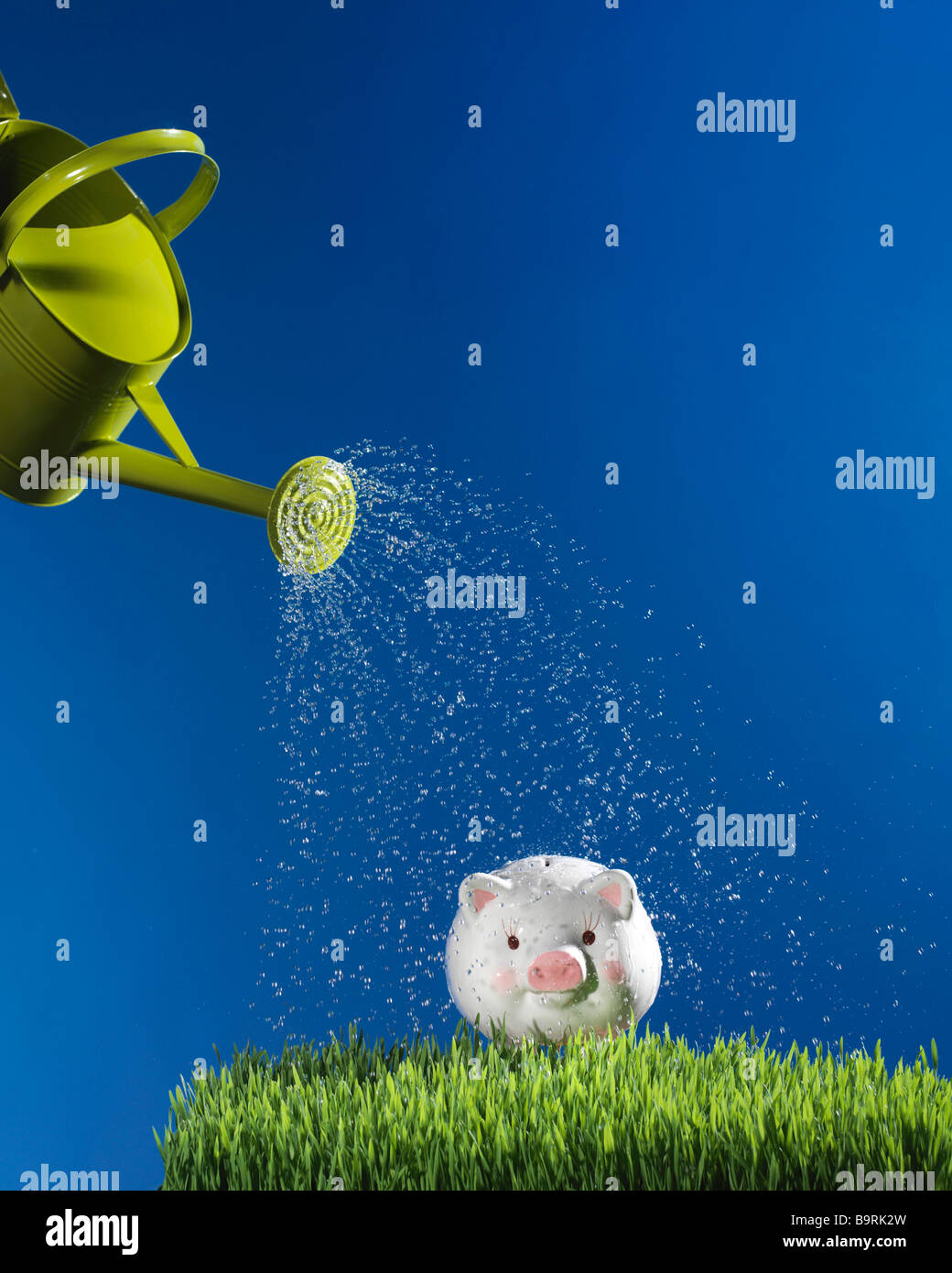 Annaffiatoio aspersione di acqua sul porcellino salvadanaio in erba con cielo blu Foto Stock