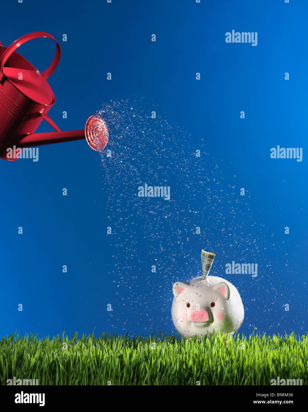 Annaffiatoio aspersione di acqua sul porcellino salvadanaio in erba con cielo blu Foto Stock