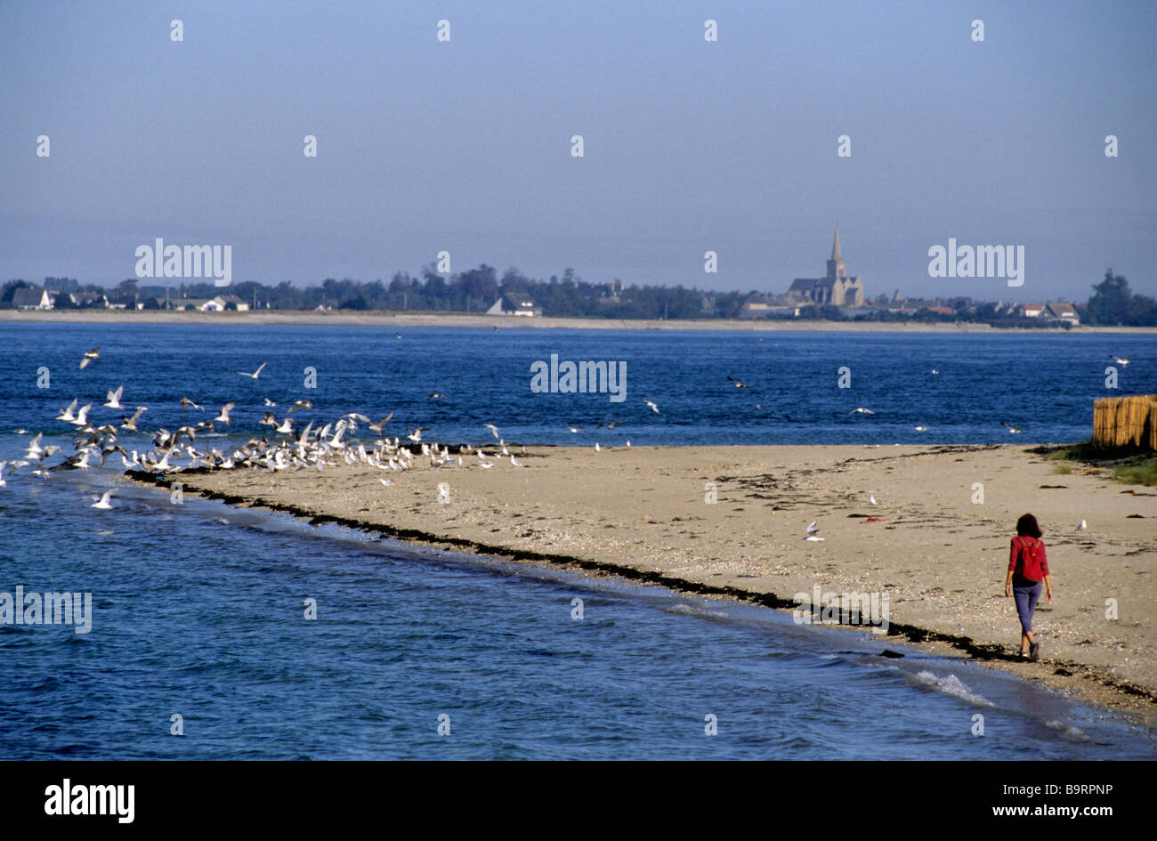 Francia, Manche, Cotentin, Ile de Tatihou Foto Stock