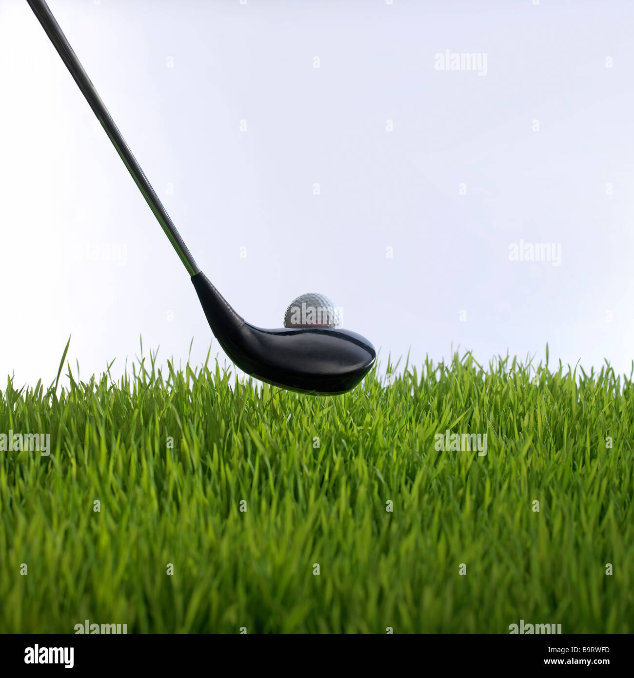 Golf club di rinvio off in erba con la pallina da golf Foto Stock