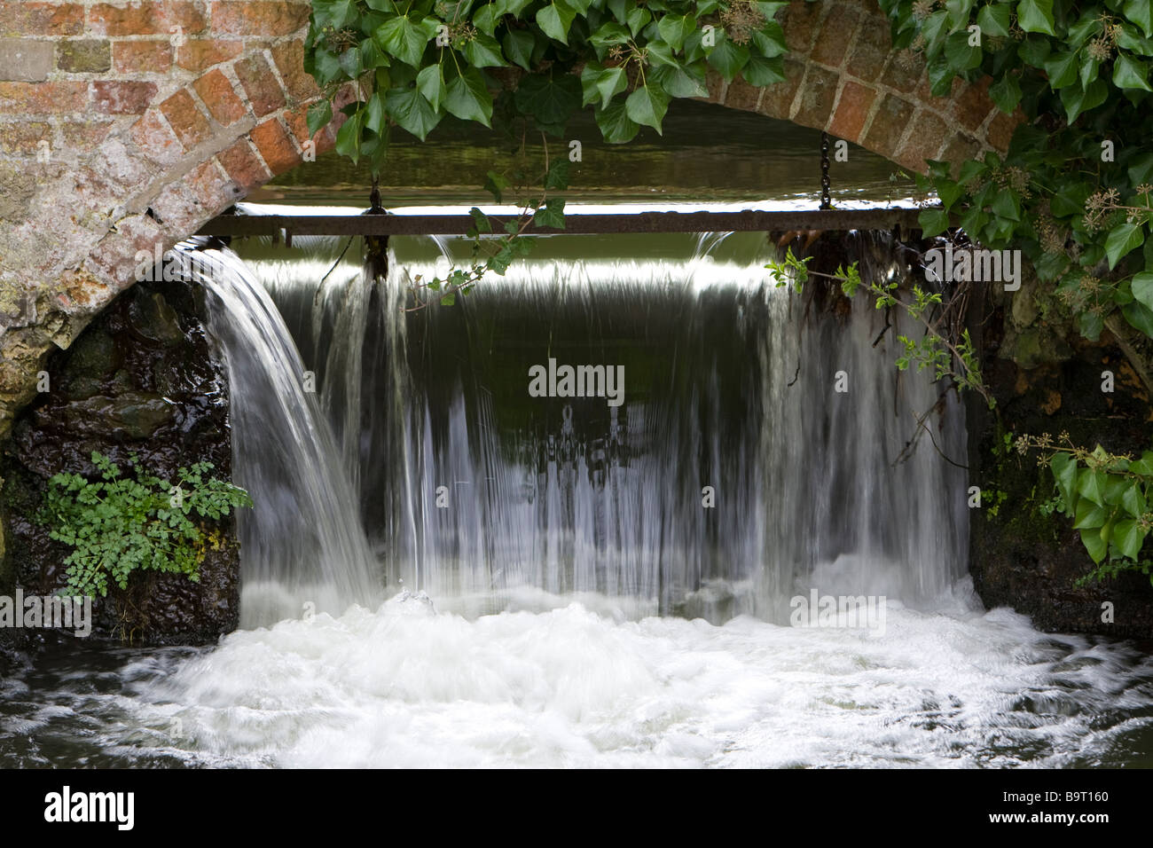 Weir al di sotto di un arco in un coperto di edera muro di mattoni sul fiume Darenth (o) Darent Shoreham Kent REGNO UNITO Foto Stock