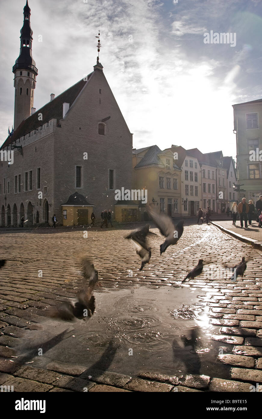 Piccioni volare lontano da una pozza in la piazza del municipio di Tallin, Estonia, Europa Foto Stock