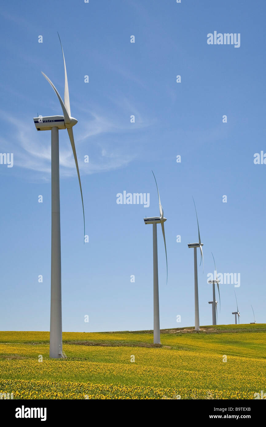 L'energia eolica mulini a vento e girasoli in Tarifa Cadice Andalusia Spagna Foto Stock