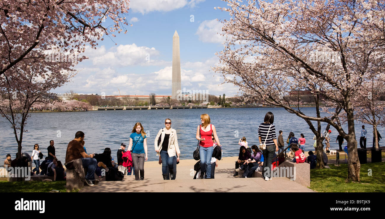 Visitatori presso la Washington DC Tidal Basin durante la fioritura dei ciliegi stagione Foto Stock