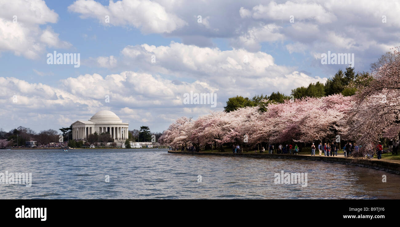 Washington DC la molla durante la fioritura dei ciliegi stagione - USA Foto Stock