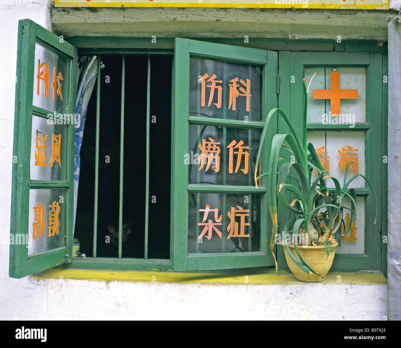 Cinese Cina Pechino prima finestra aiuto aiuto stazione della croce rossa croce rossa scilla maritim pianta medicinale squill pot Foto Stock