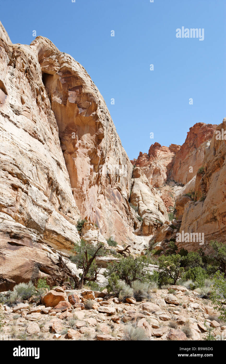 Grand Area lavaggio a Capitol Reef National Park nello Utah Stati Uniti d'America Foto Stock