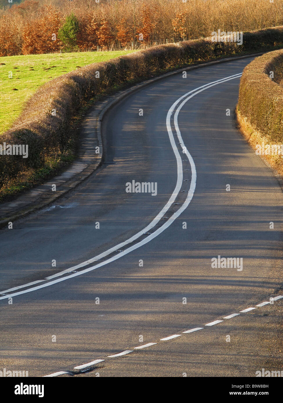 Strada di campagna con curve Foto Stock
