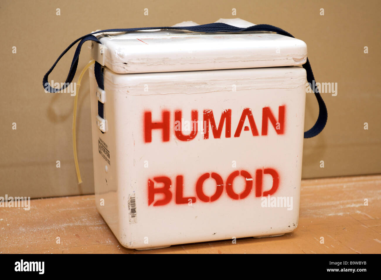 Contenitore per il sangue umano. Foto Stock