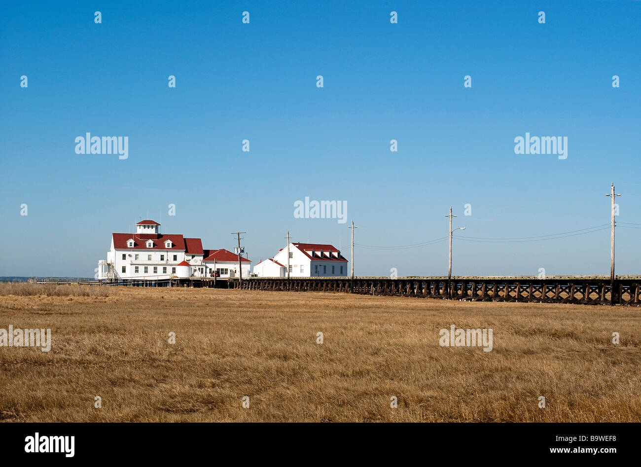 Rutgers University marine stazione di campo per la ricerca ambientale Foto Stock