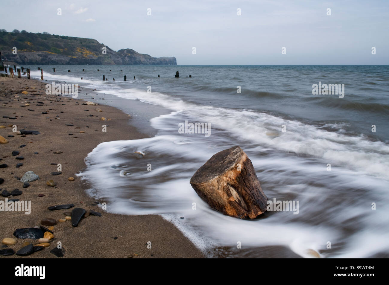 Driftwood sulla spiaggia a Sandsend vicino a Whitby, nello Yorkshire, Inghilterra, Regno Unito Foto Stock