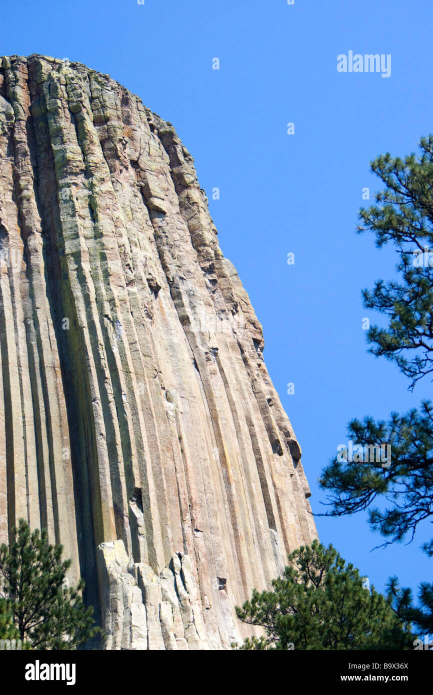 Devils Tower monolito di roccia Black Hills Wyoming USA Foto Stock