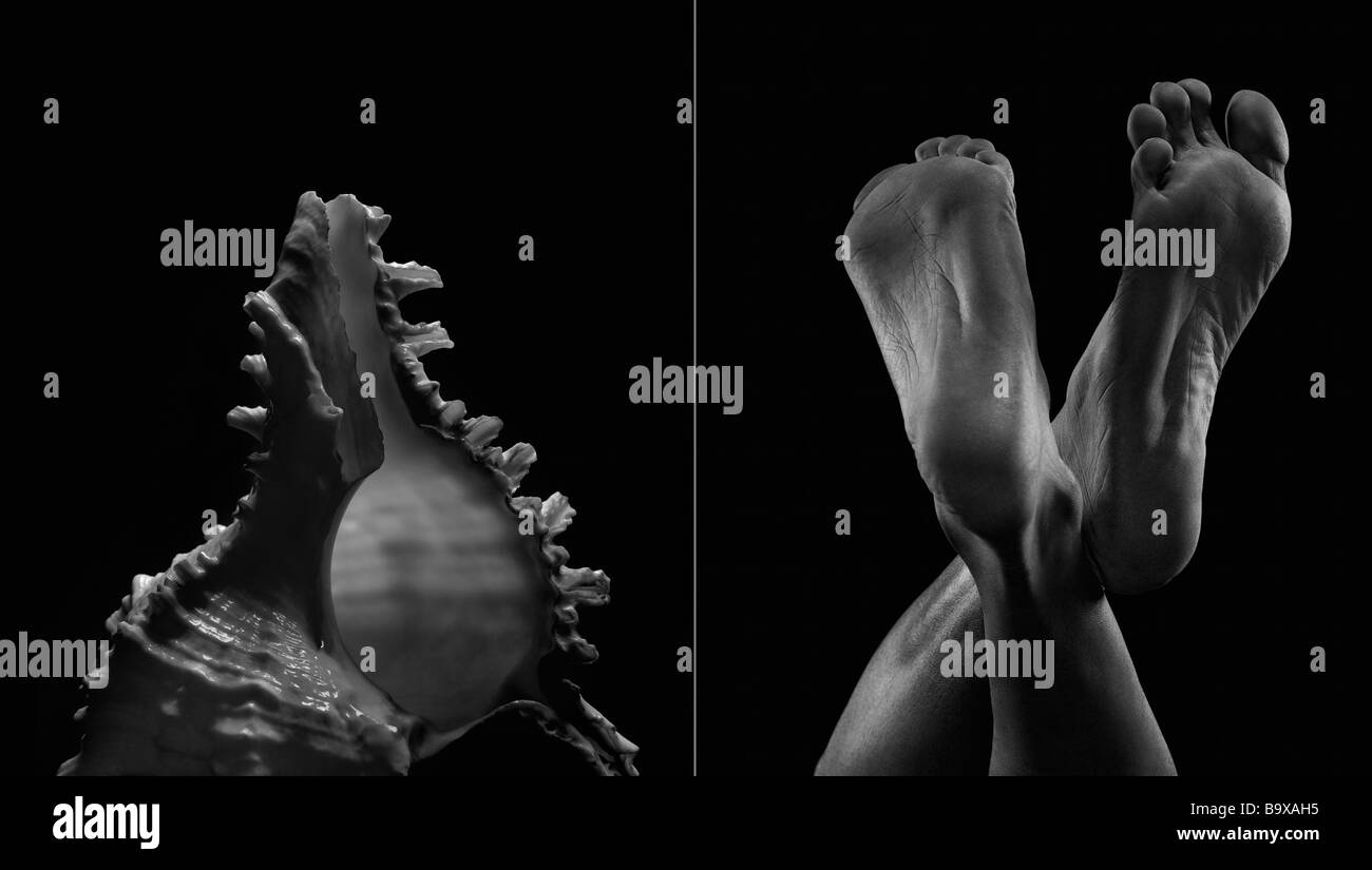 Confronto tra un guscio e uomo rendendo la forma simile Foto Stock