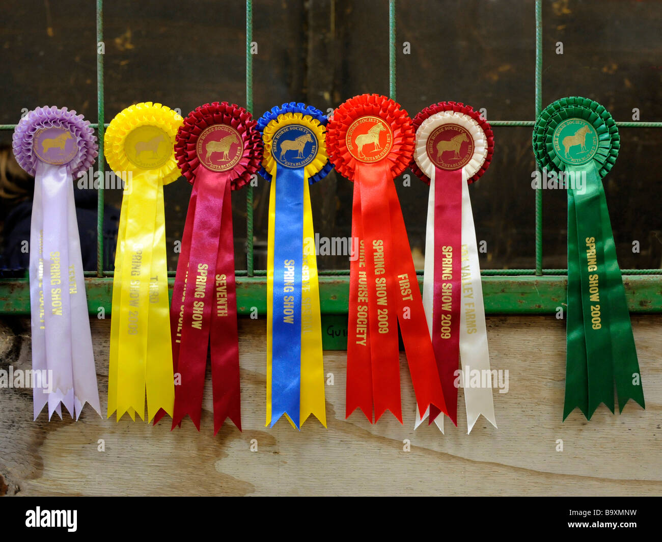 Una variopinta selezione del cavallo di rosette dalla molla Shire Horse Show 2009. Foto Stock