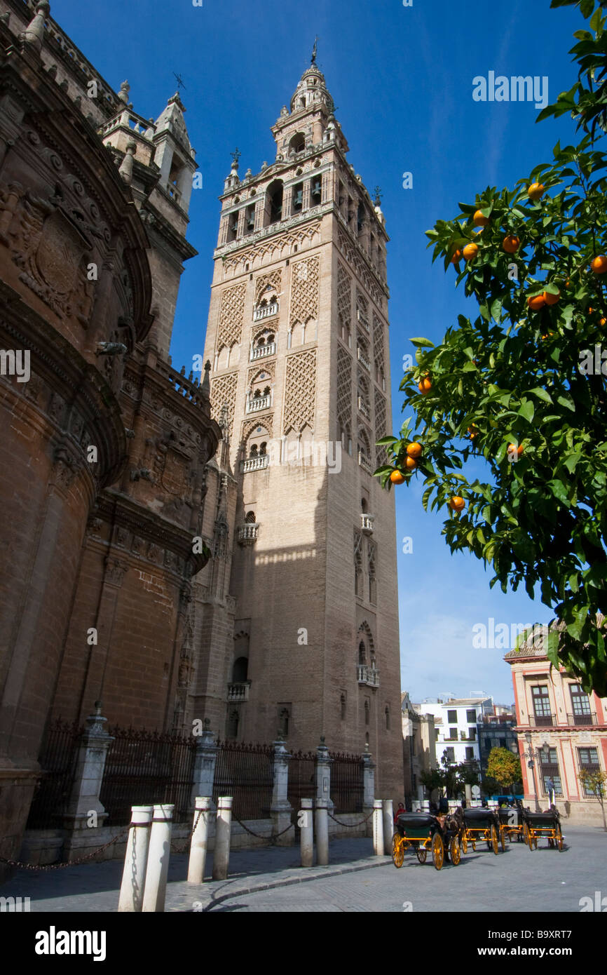 La Giralda presso la Cattedrale di Siviglia a Siviglia Spagna Foto Stock