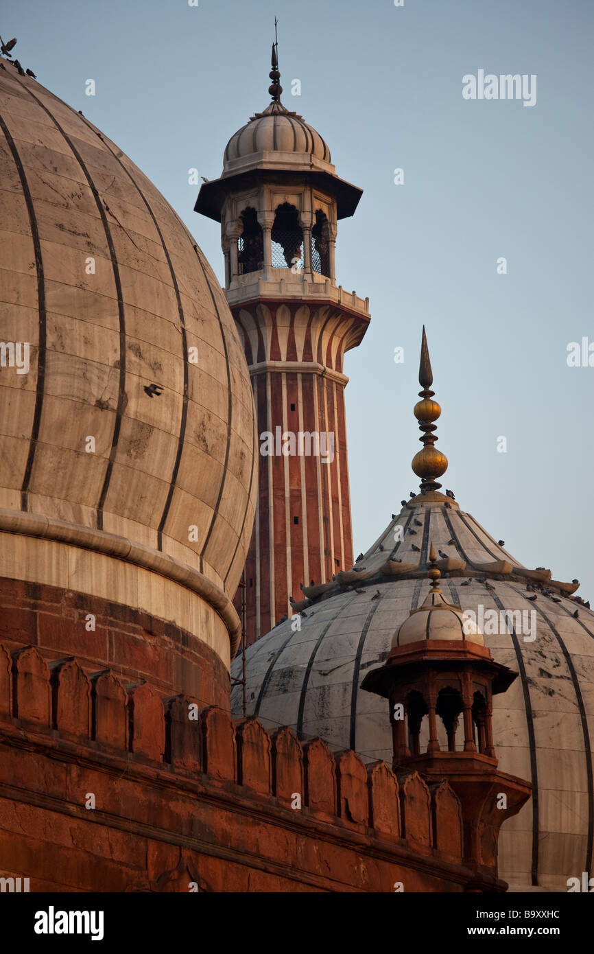 Le cupole della Jama Masjid o Moschea del Venerdì nella Vecchia Delhi India Foto Stock
