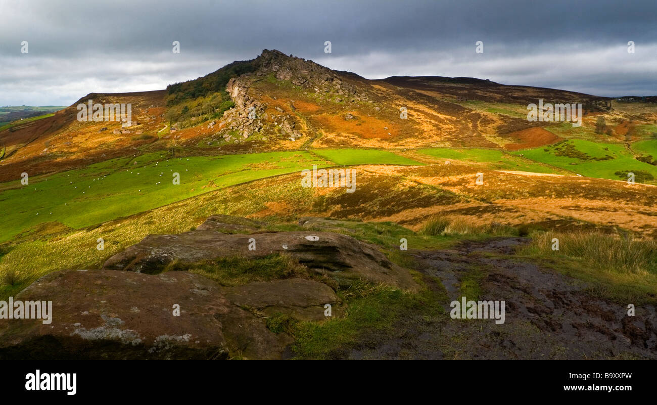 Vista degli scarafaggi nei pressi di porro in Staffordshire Peak District Foto Stock