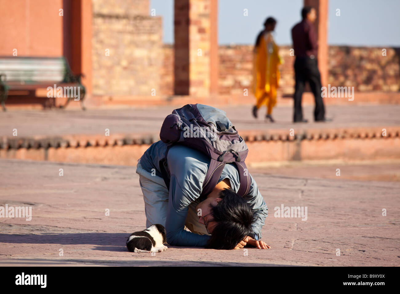 I giovani coreani uomo americano e un cucciolo Foto Stock