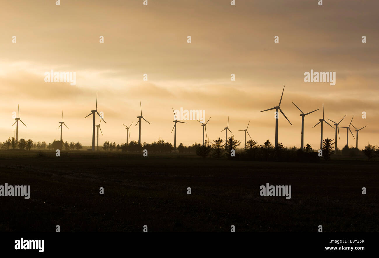 Turbina eolica macchine in South West Jutland in Danimarca su una serata primaverile Foto Stock