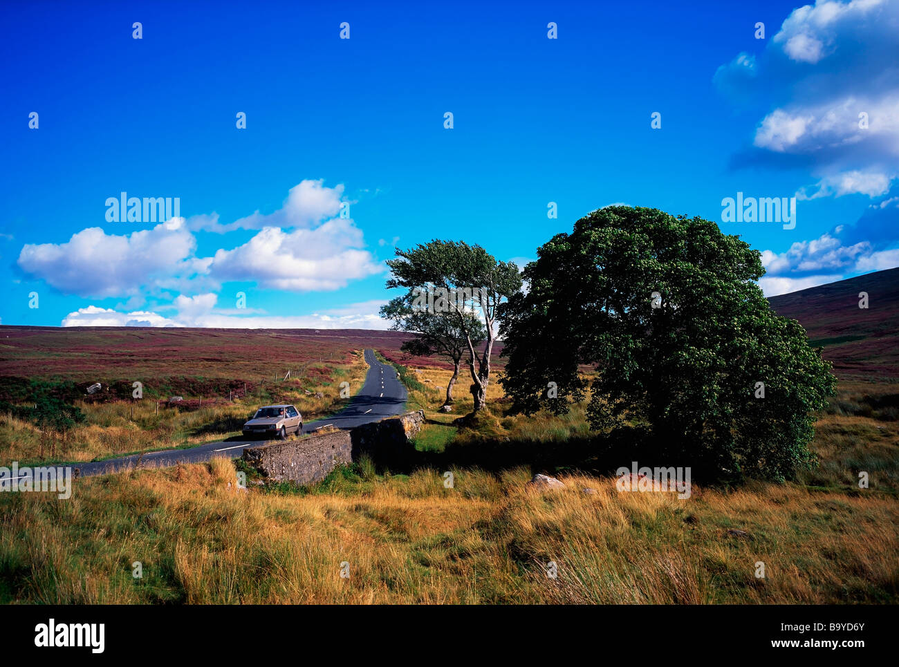 Sally Gap, Co Wicklow, Irlanda Foto Stock