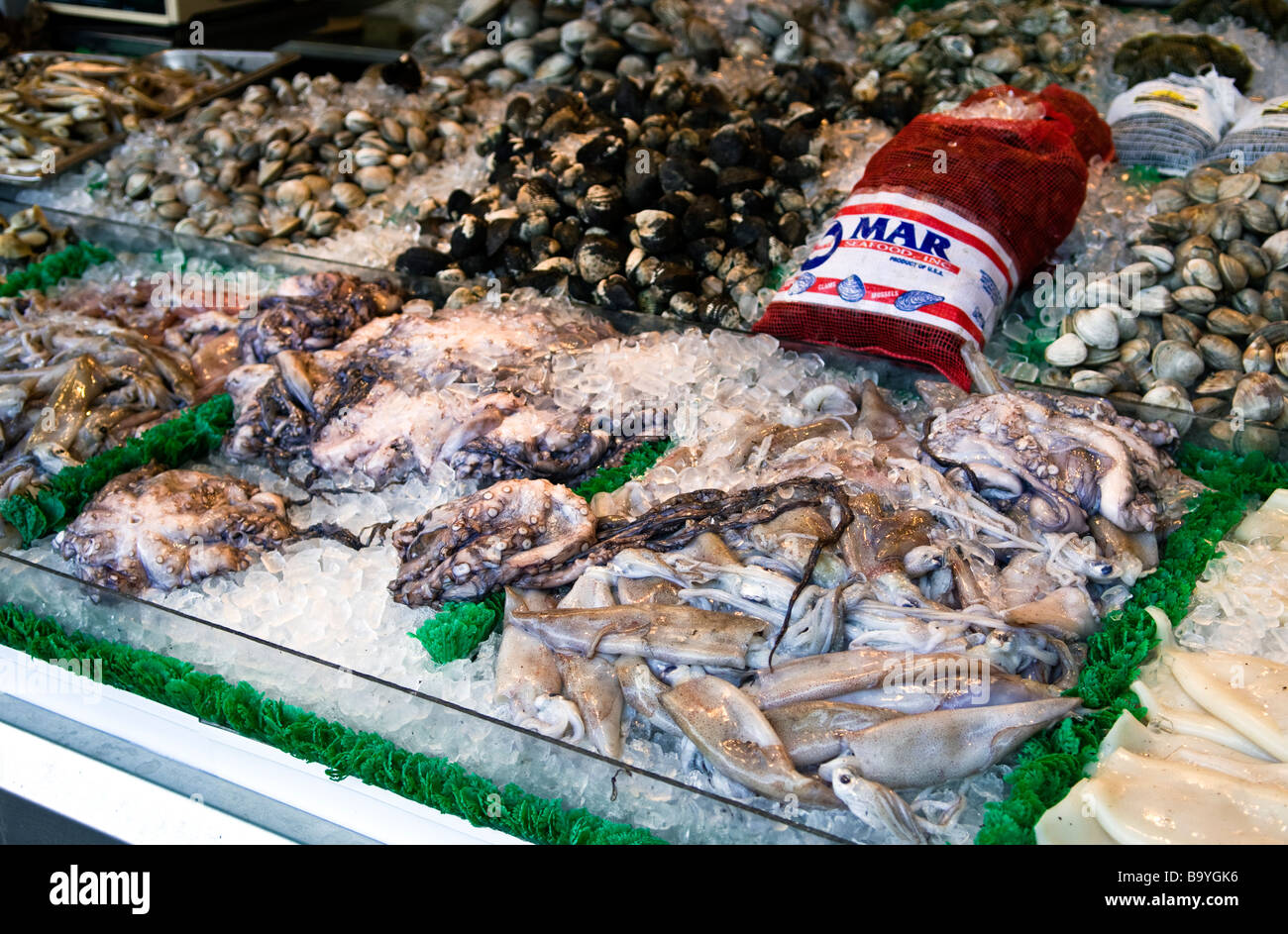 Calamari, polpi e vongole visualizzata per acquistare presso il molo, un lungomare di venditore di pesce Foto Stock